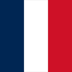 Flag-France (2)